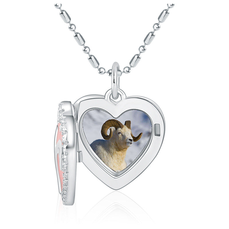 Customized Zodiac Necklace in S925 Sterling Silver featuring a heart pendant. A creative photo jewelry gift for women.